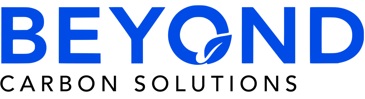 Beyond Carbon